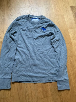 Abercrombie & fitch longsleeve - Säljer en cool Abercrombie & fitch longsleeve som är väl använd men bra för höstens varma dagar. Det är ett tunnt hoodiematerial. Inga skavanker eller liknande. Hojta om ni har några frågor, priset är diskuterbart!