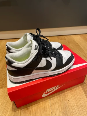  Dunk Low - Har använt den fåtal gånger och är i behov av pengar, därför säljer jag den :)
