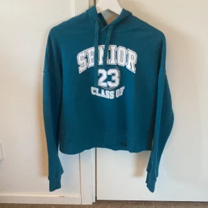Grön hoddie  - Blå grön kort Luvtröja med tryck i bra skick 