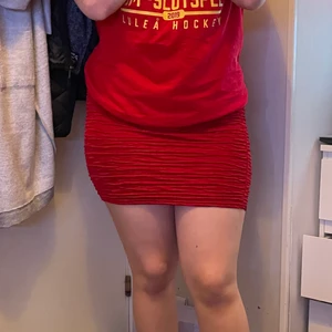 Röd kjol.  - En röd kjol sitter lite kort. Men annars jättefin. Aldrig använd. Har en svart kant vid midjan. Vet dock inte riktigt vart den är ifrån.