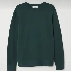 Jättefin lite oversized sweatshirt i en mörk grön färg. Används aldrig (fick den i present). Den är ifrån Weekday 🤍 DM för frågor🤍  (Lånad bild)