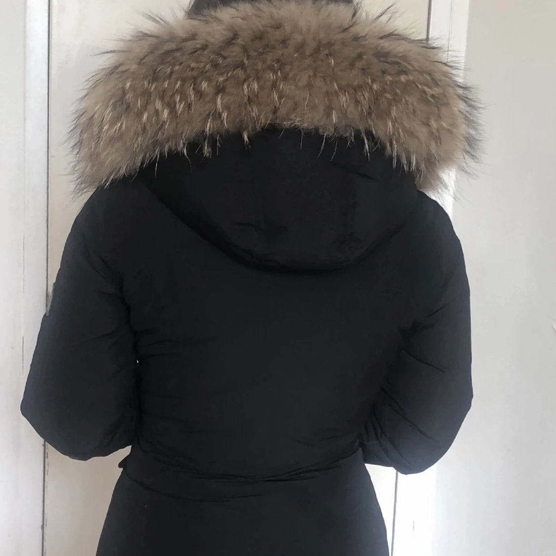 Rock and blue polar  - 91