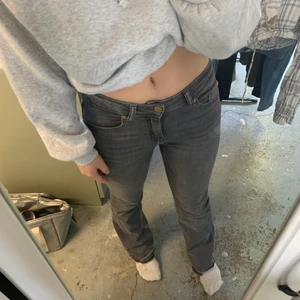 Lågmidjade Gråa bootcut jeans - Gråa populära bootcut jeans som är lågmidjade och som nästan aldrig har används.