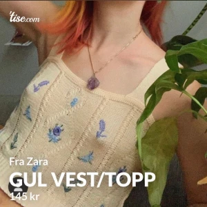 Gul vest topp - Selger min søte crop top i Gul fr Zara i knittet-stoff med broderi :)  Str. Xs-s-M  (strechy bak)  Farge: Gul/hvit/ blå  Bilder er lånt, men den er helt lik og kan sende bilde ved forespørsel☺️