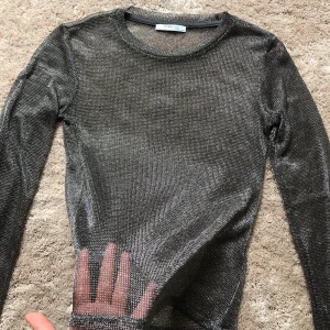 Glittrig topp - En glittrig topp från ZARA. Toppen är i ett tunnt nät-stuk. Den har 3 små slitningar på ärmarna, men dessa är inte märkbara i mörker på fest!💓