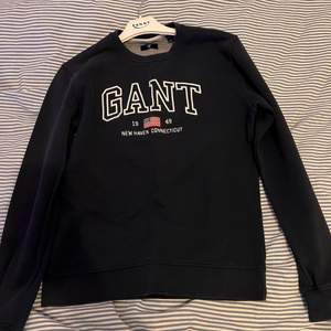 Fin gant sweatshirt i storlek 170 som knappt blivit använd och är för lite för mig 