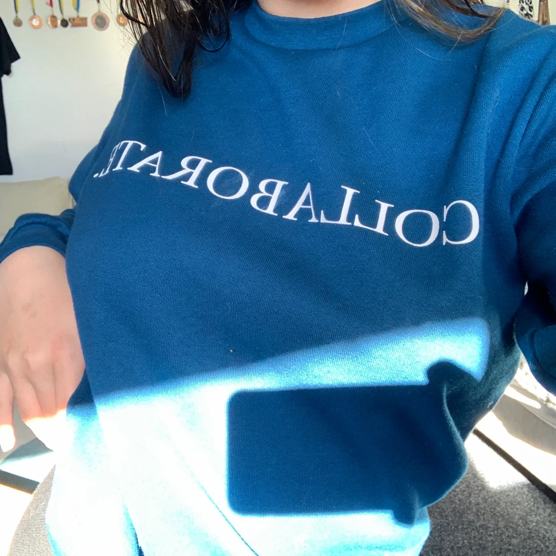 Långärmad tröja - 51