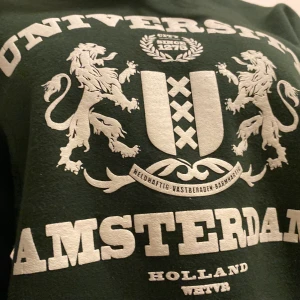 University Hoodie - Sweatshirt i stor S