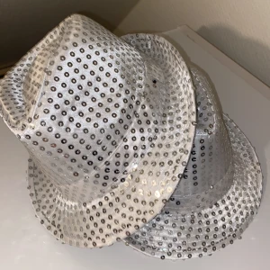 silver hatt - 2 silver hattar för 60kr/st