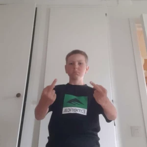 Birk, 139 cm - Säljer nu Birk pga av dåligt beteende och en fruktansvärd attityd.