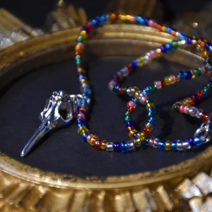Halsband fågel  - Halsband med en fågelskalle och regnbågsfärgade glaspärlor. 