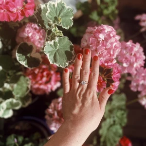 Guldplätterad ring - Guldplätterad ring med en silvrig sten 💎  Använd mycket och inte tappat någon färg eller glans - ser fortfarande ny ut. Storlek 6,5.  Köpt i smyckesaffär i utlandet så kommer inte ihåg vad det vad för märke. Säljer den för att jag nu har andra smycken som jag använder mer.   Nypris 35 euro.  Kolla gärna mina andra annonser - ger alltid paketpris 📦  Betalning via swish 💰   Skickas mot fraktkostnad - bjuder på frakten vid köp av mer än två saker ✅