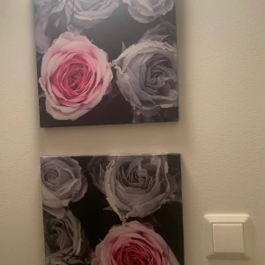 Tavla - 30kr för båda 