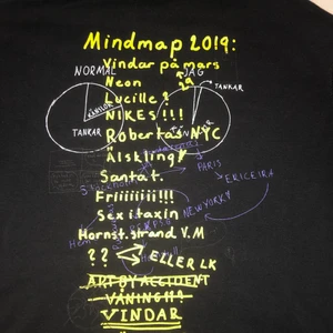 Hov1 hoodie 2019 - finaste hov1 hoodien köpt vid släppet 2019. mycket väl använd men skulle inte säga att det är några större defekter på den. förutom ett litet hål på ”fickan” som jag sytt ihop (se sista bilden). såååååå skön o hade egentligen inte velat sälja men jag tror någon annan får mer användning för den<3 skriv för frågor eller fler bilder💋 frakten är inräknad i priset.