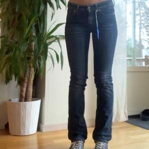 Fina Acne studio jeans jag köpte från sellpy i storlek 32, som tyvärr var försmå i benen. Skulle säga jeansen är midrise och inte jätte mycket bootcut på dem. Jag är ca 168 cm. Köpare står för frakt💞