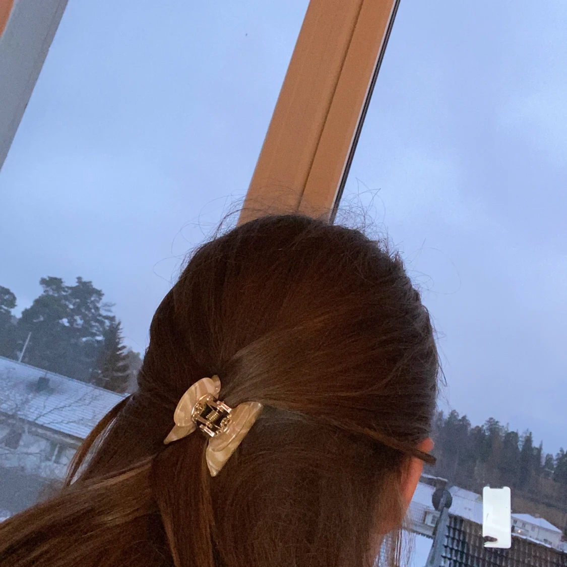 Hårklämmor små  - 90