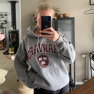 Hoodie - Storlek L, färg: grå , köparen står för frakten