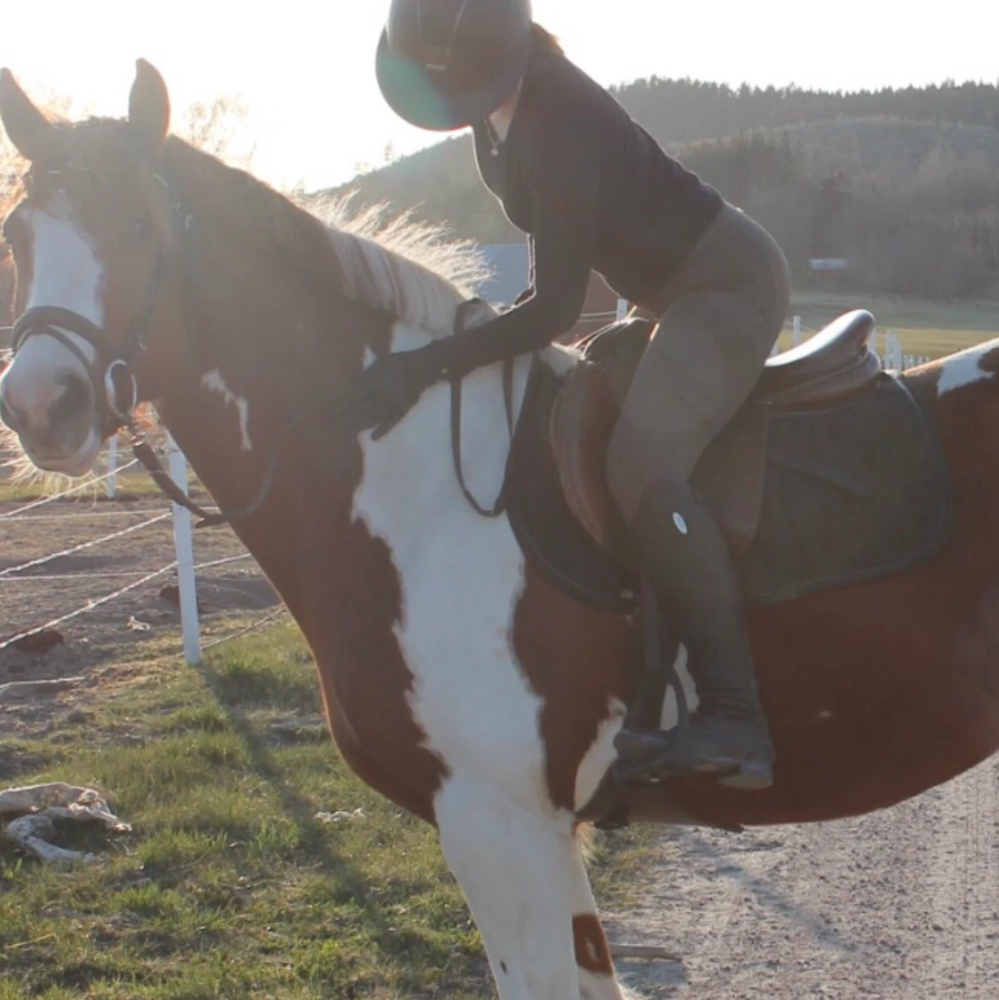 Zaczess byxor ASH BROWN - 90