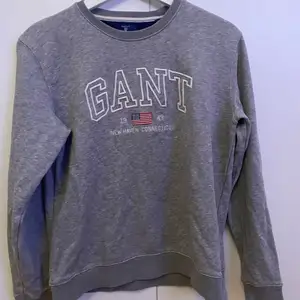 Gant hoodie