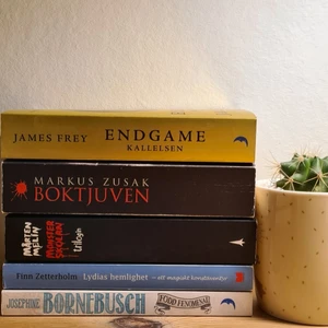 Pocket-kit - Fem fina pocketböcker 🌟 Endgame (helt oläst!), Boktjuven, Monsterskolan (hela trilogin), Född Fenomenal och Lydias Hemlighet 🌸 alla i bra skick, Endgame helt i nyskick! 🧡 1 bok fraktas för 45kr 🧡 2 böcker fraktas för 70kr 🧡 ALLA för 115kr 🧡