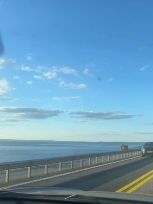 Väskan  - Till Alwa❤️