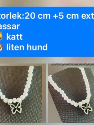 By prisförslag- katt/hund halsband med diamant fjärilshänge  - Snyggt halsband  med vita runda pärlor och ett silvrigt fjärilshänge. Perfekt accessoar för den pälsklingen som gillar detaljer och vill ha något unikt. Det har en enkel och stilren design som passar alla. 