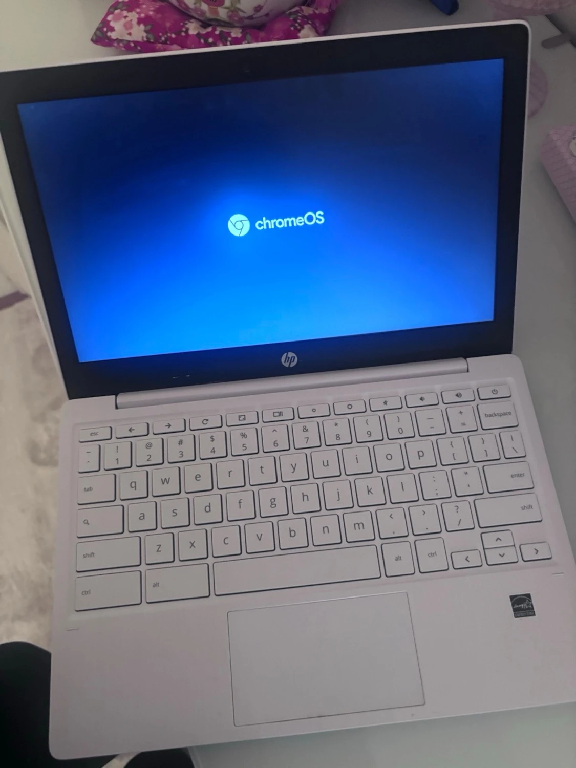 Vit HP Chromebook med ChromeOS - 1