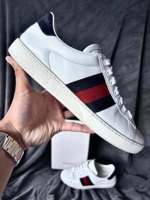 Gucci ace skor - Gucci ace skor | storlek 6~41, fråga om innermått vid osäkerhet | ingår: box+äkthetskort