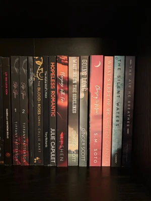  skönlitteratur på engelska - Författare som Ginger Scott, S.M. Soto och Brittainy C. Cherry finns med. 