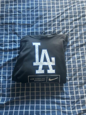 Nike Hoodie - Säljer min hoodie då den inte passar mig längre!