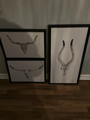 Tavlor med djurkranier i svart ram - Säljer tre tavlor med svartvita illustrationer av djurkranier, inramade i svarta ramar. Motiven visar hornprydda kranier med detaljerade mönster på vit bakgrund. Perfekt för dig som gillar stilren och modern konst med naturtema.