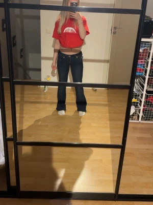 True Religion Jeans - Joey Low Rise Flare i Muddy Water. Jättefina och inga tecken på användning.  Nypris: 1300kr Storlek: w23 och passar en XXS & XS