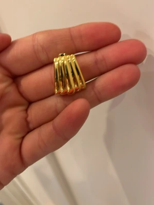 Chicuita guld  örhängen från ANI - Snygga örhängen i guldpläterad metall med unik, veckad design. De har en modern och chunky look som verkligen drar blickarna till sig. Perfekta för dig som gillar att sticka ut med accessoarer och vill ha något trendigt och coolt i smyckeslådan. Från ANI