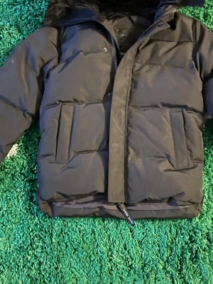 Svart dunjacka från Canada Goose - Snygg svart dunjacka från Canada Goose med klassisk patch på ärmen. Jackan har stora framfickor, dragkedja med vindslå och en hög krage. Perfekt för kalla vinterdagar och riktigt varm tack vare dunfyllningen. Priset går att diskuteras💕