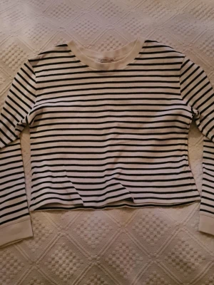 Randig långärmad topp i bomull - Snygg långärmad topp med svarta och vita horisontella ränder. Modellen är croppad och har rund halsringning samt ribbade muddar vid ärmsluten. 