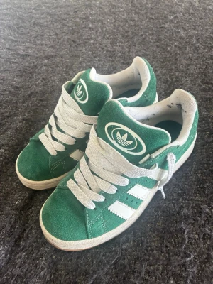 Gröna Adidas campus 00 - Gröna adidas campus. Knappt använda då de va för små redan när ja köpte de. Skorna är i storlek 36 o en halv Skriv privat för fler frågor 