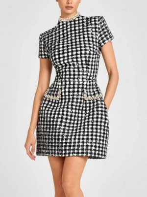 Plaid Pearl Trim Mini Dress - Helt ny klänning aldrig använd, passar tyvärr inte mig. Står storlek L men passar min vän på bild 2 som har storlek S/XS💕