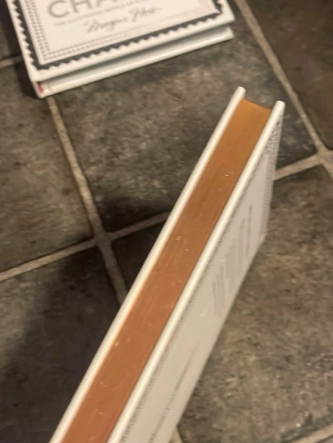 New York, Paris & Coco Chanel av Megan Hess - 5