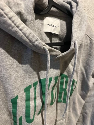 Grå hoodie från Vailent med tryck - Snygg grå hoodie från Vailent med stor grön text på bröstet. Klassisk huva med dragsko och känguruficka framtill. Tillverkad i mjukt sweatshirtmaterial som är perfekt för chill dagar. 