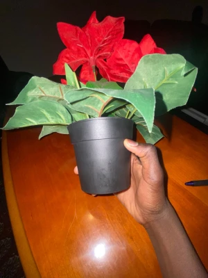 Konstgjord julstjärna i svart kruka - Säljer en konstgjord julstjärna med stora röda blommor och gröna blad i en enkel svart plastkruka. Perfekt som dekoration till hemmet, speciellt under vintern och julen. Blommorna har gula detaljer i mitten och bladen är detaljerade med ljusgröna ådror.