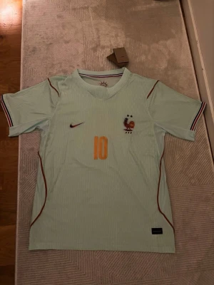Frankrike Mbappé matchtröja Nike - Ljusgrön matchtröja från Nike för Frankrikes landslag med nummer 10 och Mbappé på ryggen. Tröjan har korta ärmar, broderad tupp-logga, röda och blå detaljer samt AeroSwift-material för extra komfort. Perfekt för fotbollsfans!