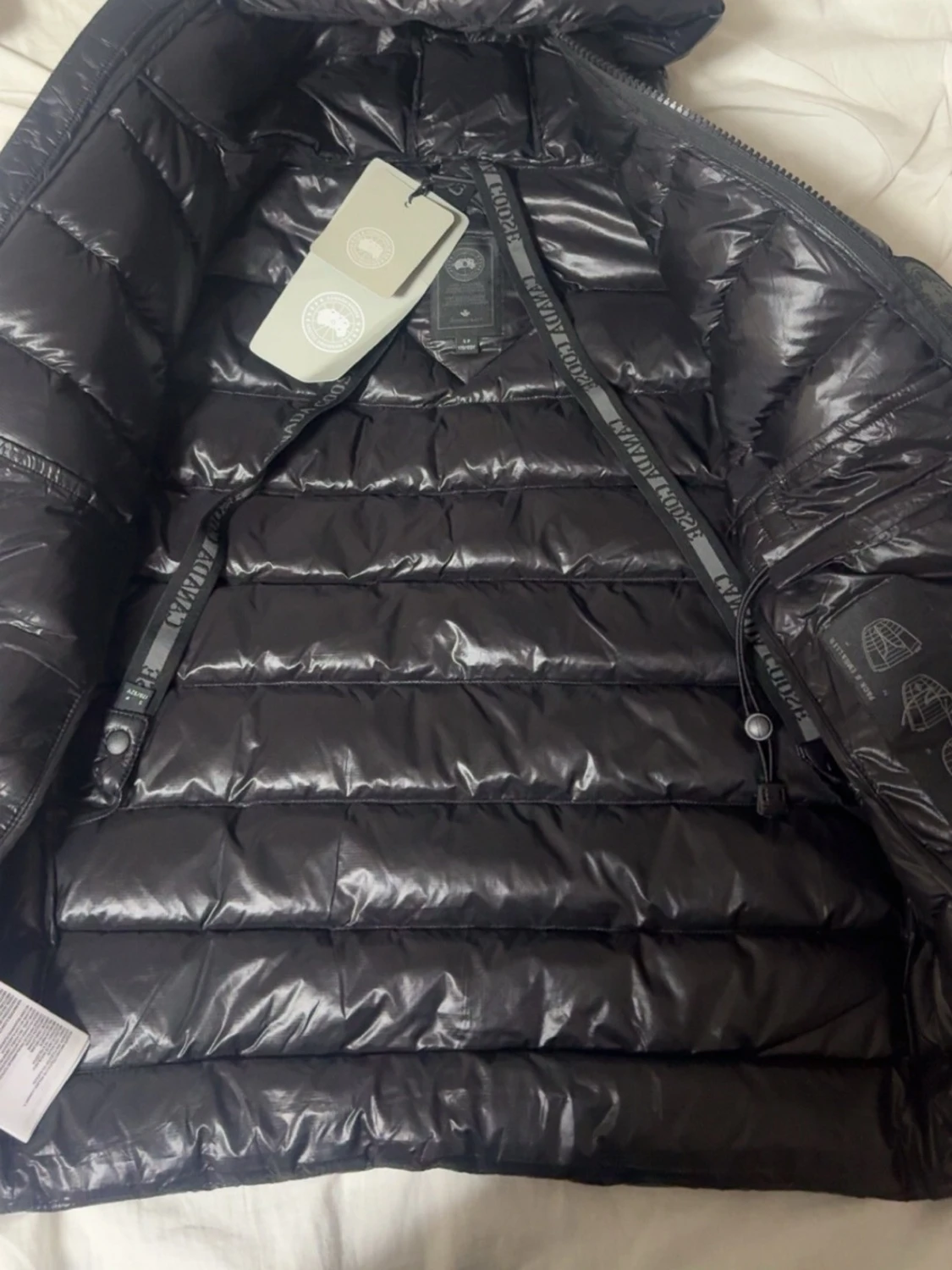 Canda goose crofton  - 4