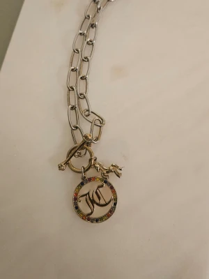 Silverfärgat halsband med färgglada detaljer - Säljer ett chunky silverfärgat halsband från Juicy Couture med stora länkar och ett hängsmycke med JC-logga. Ringen runt loggan är dekorerad med små färgglada stenar och det finns även en liten hundberlock. Perfekt för dig som gillar statement-smycken. Har själv köpt från USA. Äkta. 