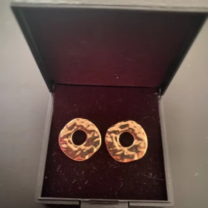 Örhängen  - Guldiga örhängen