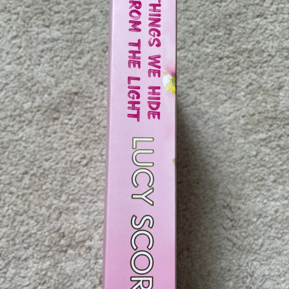 Things we hide from the light - Lucy Score - 90