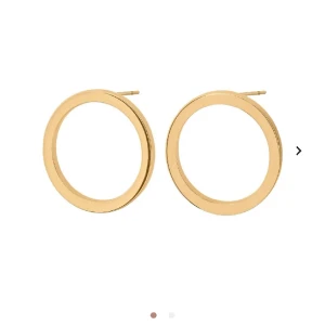 Örhängen från edblad  - Säljer dessa örhängen från edblad ❤️ ej använda! Köpta för 300kr