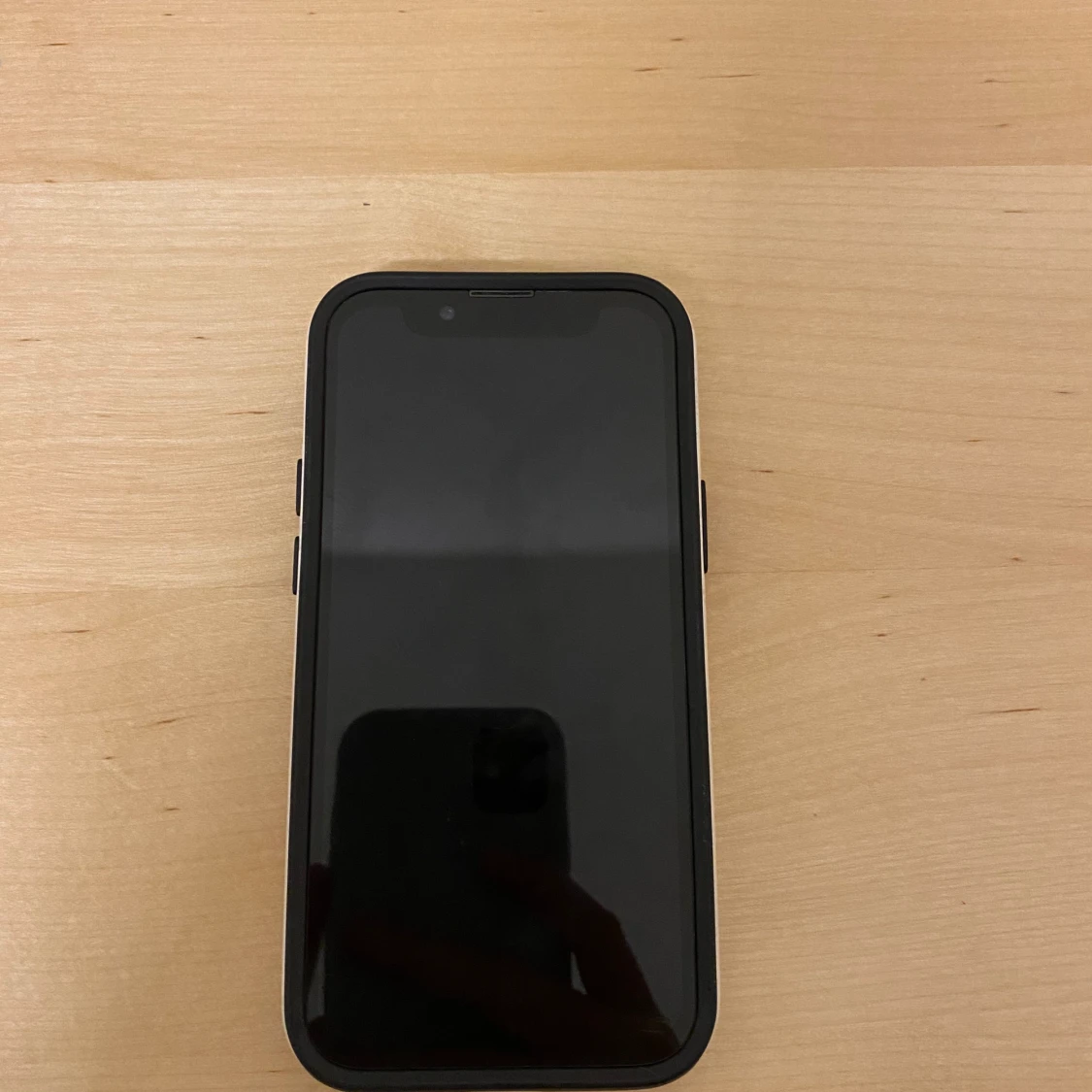 iPhone 13 Mobilskal - 90