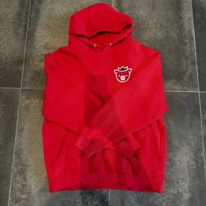 Technoblade merchandise hoodie  - Köpt sommaren 2022. Välanvänd men i bra skick. Säljs pga. att den inte används längre. Ord. priset var runt 600kr, säljer nu för 299kr.
