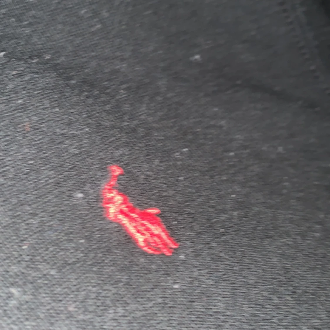 En Ralph lauren hoodie  - 91