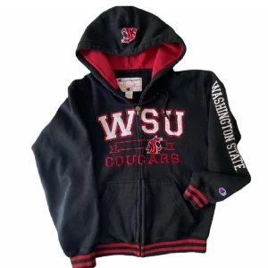 Champion hoodie - Köpte på plick för 400kr och har inte användts mycket (bilden är lånad från förra ägaren)🩷